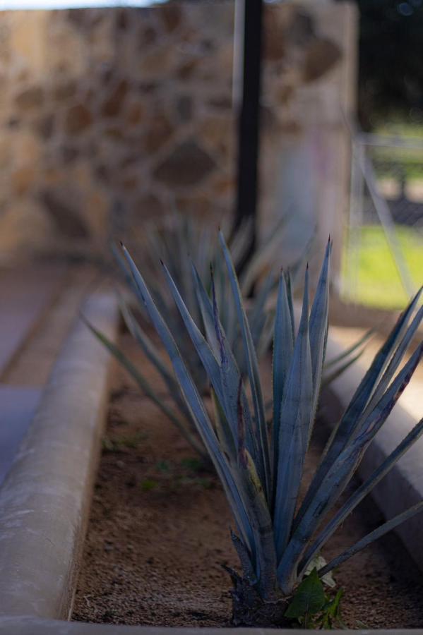 Catrina Valle - Ubicacion 10 Valle de Guadalupe Εξωτερικό φωτογραφία
